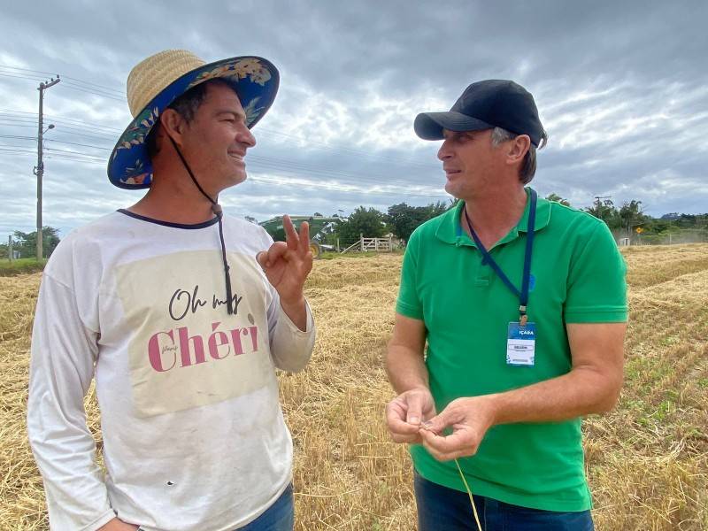 Produtor rural de Içara aposta em plantação de larga escala para diversificar agricultura — foto 2