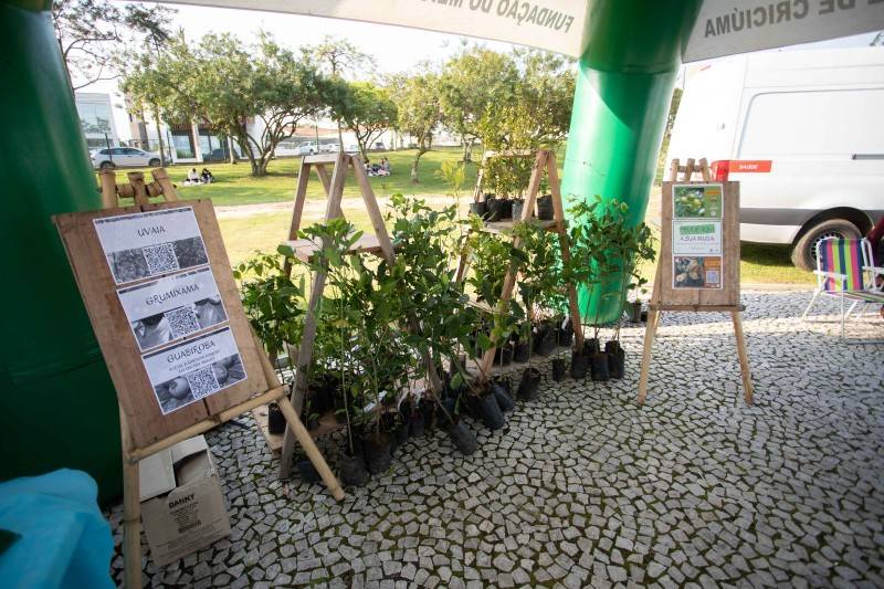 Eco Festival de Criciúma fomenta práticas ecológicas — foto 2