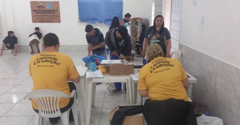 Segundo mutirão do projeto Castração é a Solução realiza 182 procedimentos em Criciúma — foto 1