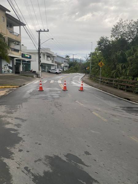 Queda de árvore causa interdição na rua João de Rochi em Morro da Fumaça — foto 2