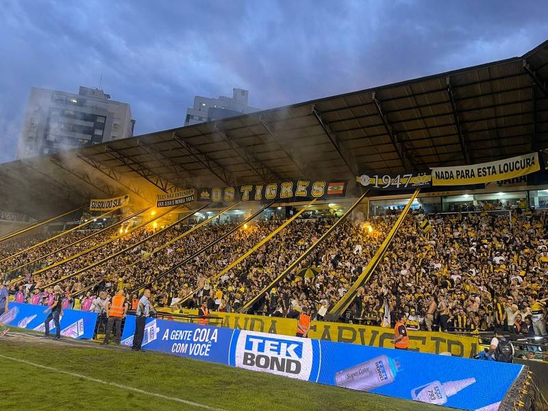 Torcida do Criciúma invade gramado e festeja acesso para a Série A; confira a galeria de fotos — foto 1