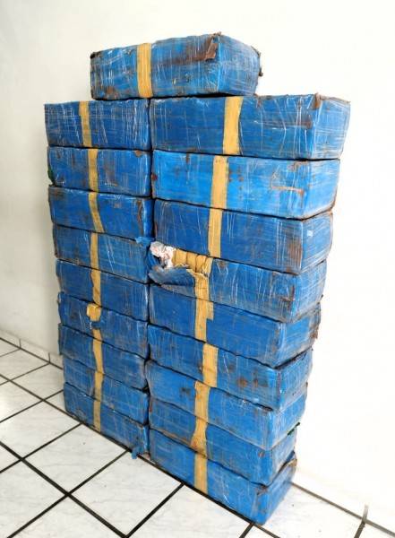 Motorista é abordado e detido com mais de 300 quilos de maconha em Grão-Pará — foto 3