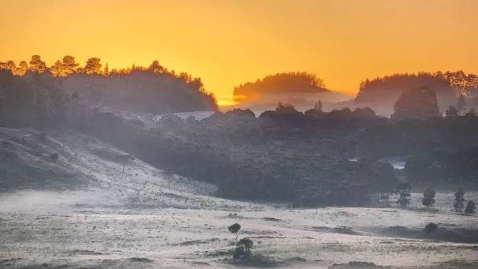 Em pleno dezembro, Serra Catarinense registra geada; veja fotos — foto 9