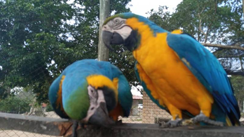 Parque Ecológico de Maracajá é opção de lazer durante o Verão — foto 1
