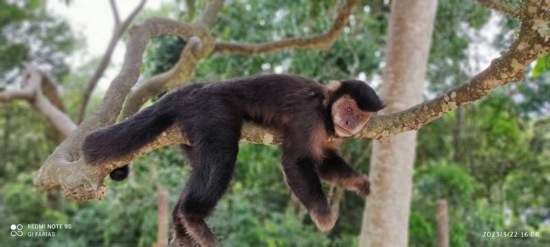 Parque Ecológico de Maracajá é opção de lazer durante o Verão — foto 2