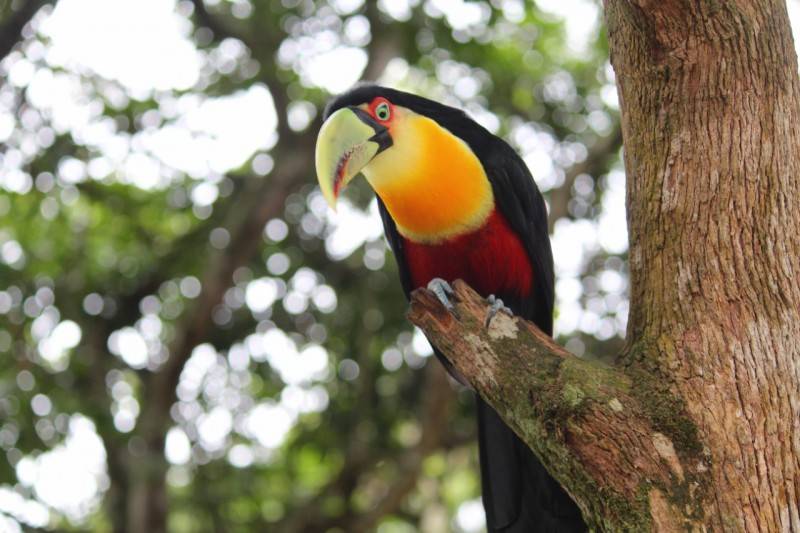 Parque Ecológico de Maracajá é opção de lazer durante o Verão — foto 3