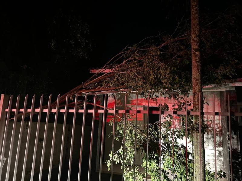 Temporal: bombeiros do 4º Batalhão receberam ao menos 22 chamados para corte de árvores em Criciúma — foto 2
