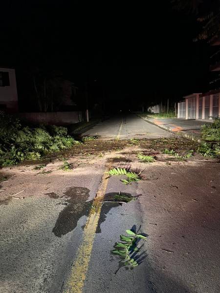 Temporal: bombeiros do 4º Batalhão receberam ao menos 22 chamados para corte de árvores em Criciúma — foto 3
