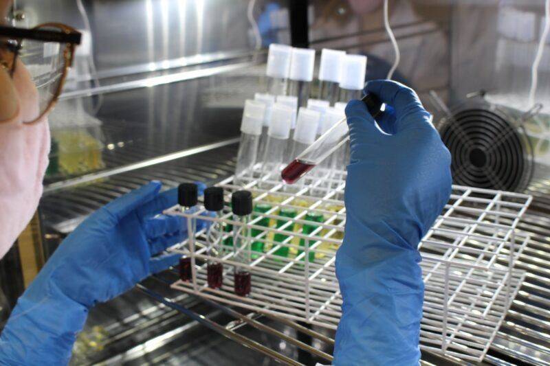 Com mais de 124 mil análises em 2023, Laboratórios Satc prezam pela precisão nos resultados — foto 2