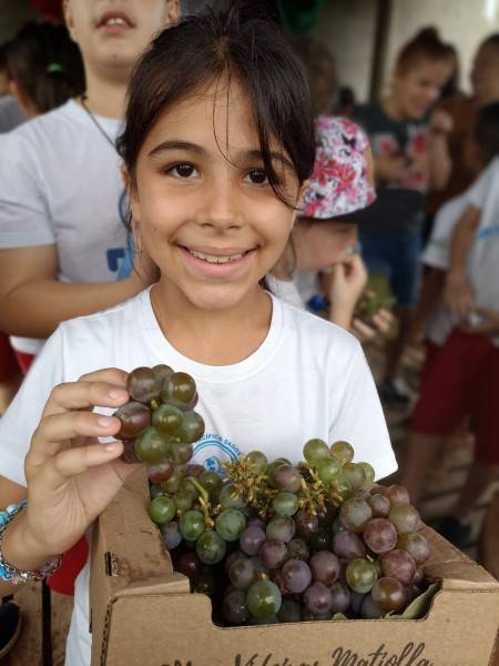 Alunos da Colônia de Férias de Içara conhecem vinícola — foto 2
