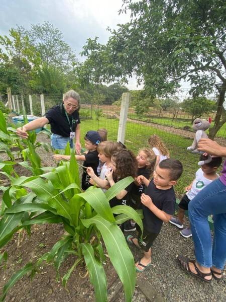 Educação Infantil do Colégio Satc transforma brincadeiras em aprendizados valiosos — foto 1