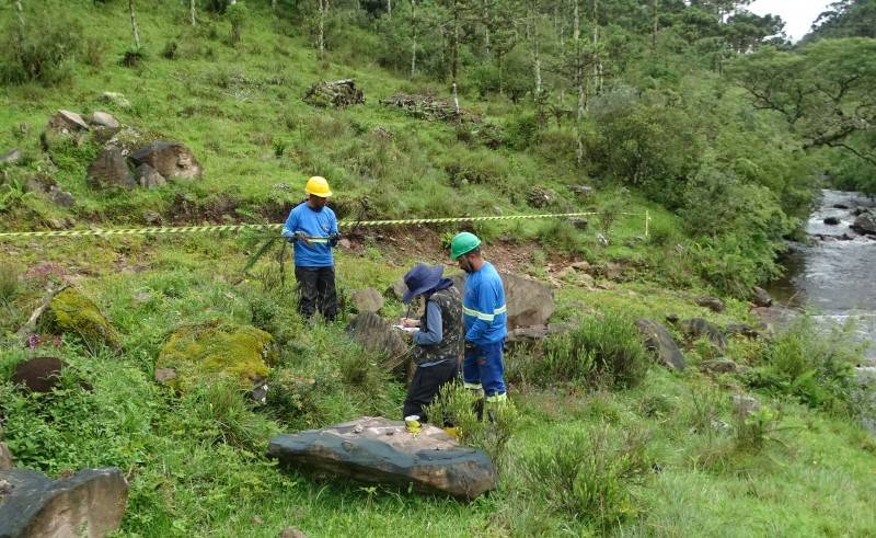 DNIT coleta vegetação na BR-285 para monitoramento, resgate e propagação das espécies nativas — foto 1