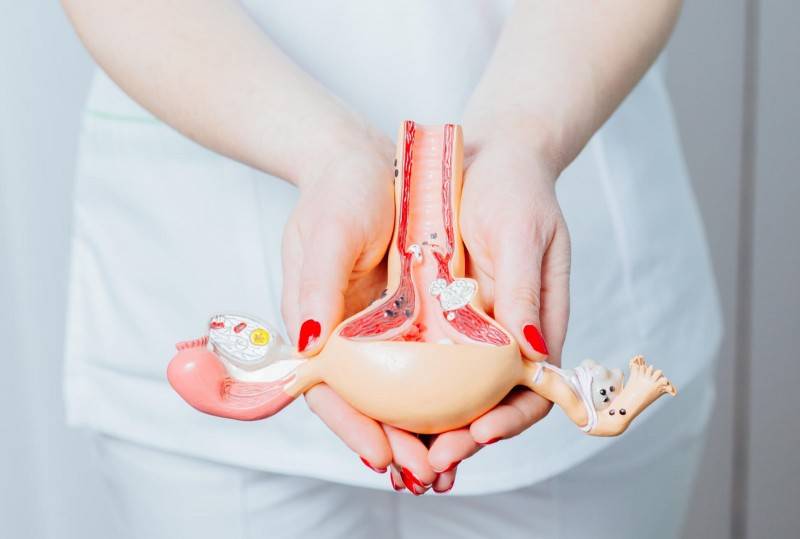 Março Amarelo: de 30 a 50% das mulheres com endometriose podem apresentar infertilidade — foto 1
