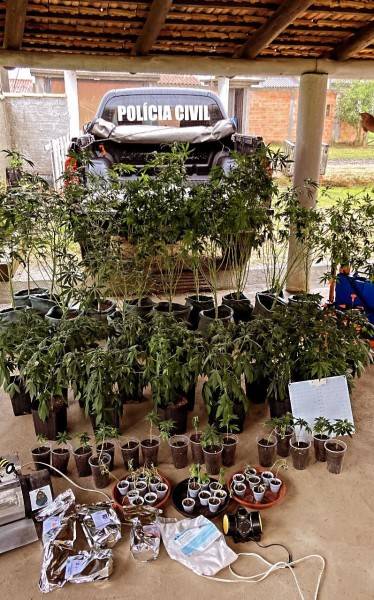 Operação policial apreende grande quantidade de pés de maconha e porções de skank em Tubarão — foto 5