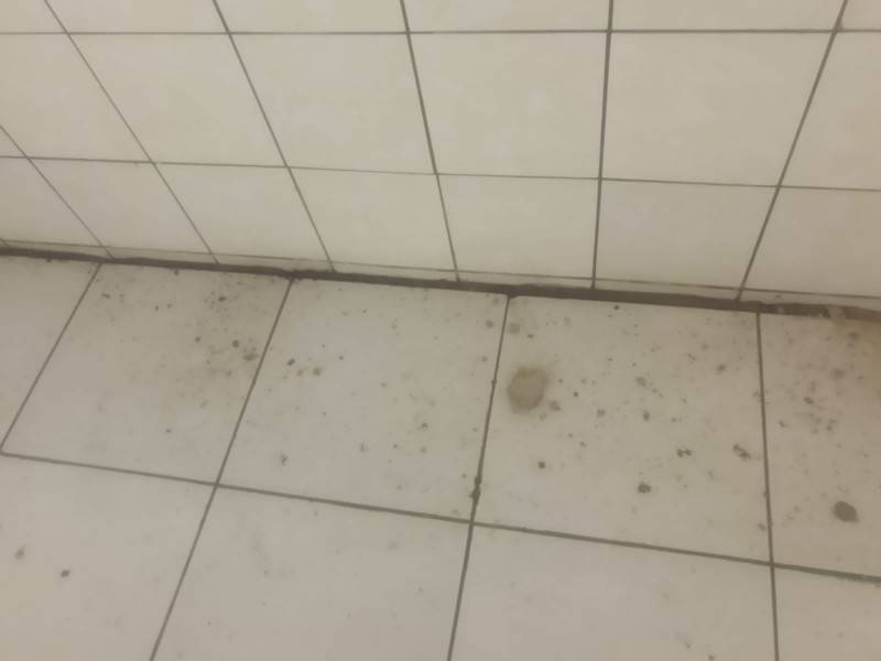 Pais reclamam de reforma na Escola Municipal Antônio Milanez Neto — foto 7