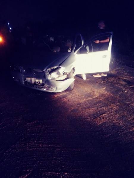Motorista fica ferida ao colidir em árvore que caiu sobre pista e interditou rodovia — foto 1