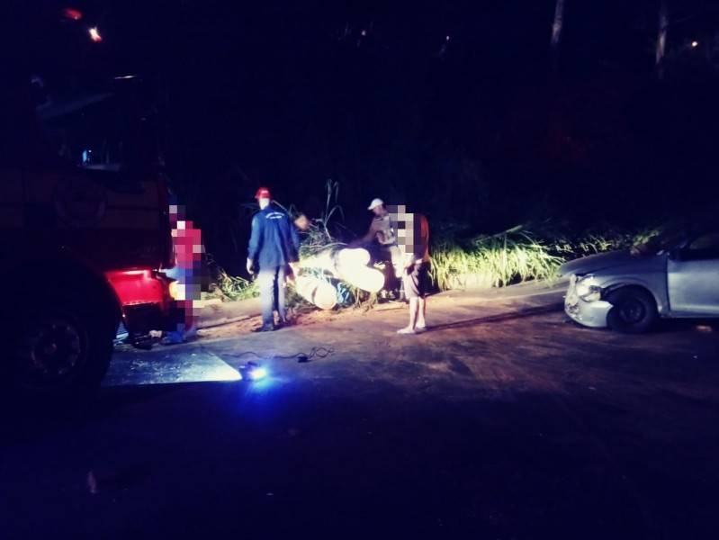Motorista fica ferida ao colidir em árvore que caiu sobre pista e interditou rodovia — foto 2