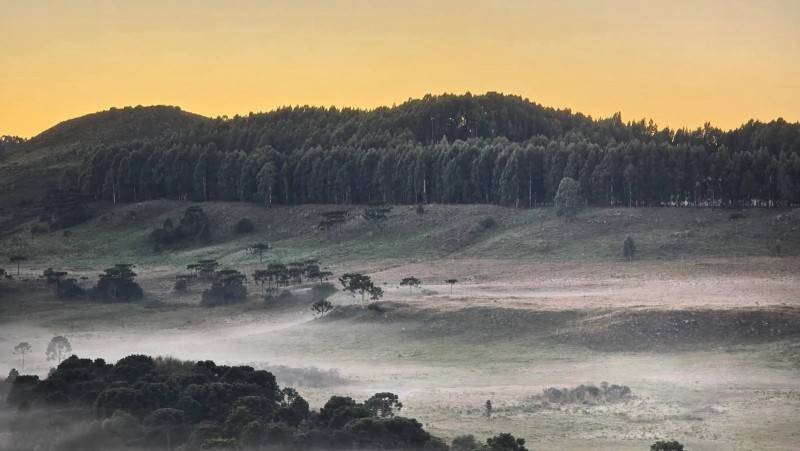 Serra catarinense amanhece com geada e baixas temperaturas; confira fotos — foto 1
