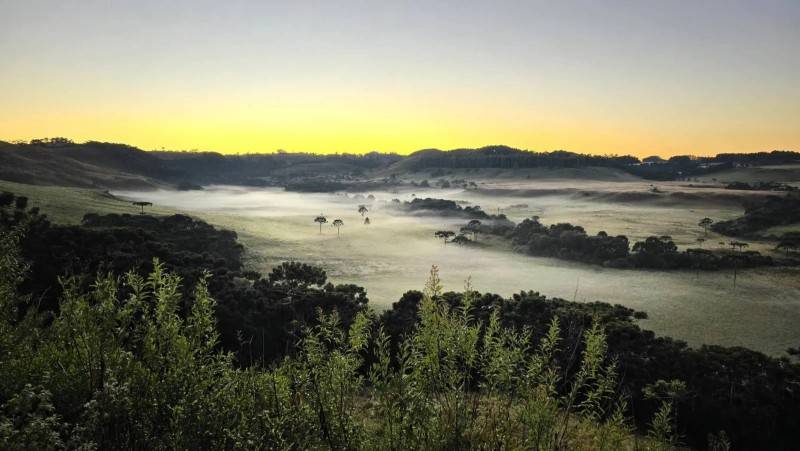 Serra catarinense amanhece com geada e baixas temperaturas; confira fotos — foto 2