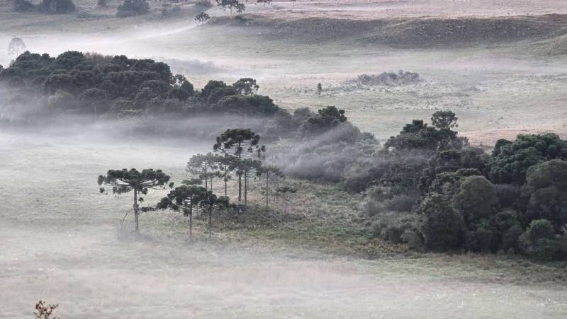 Serra catarinense amanhece com geada e baixas temperaturas; confira fotos — foto 11