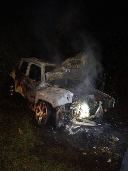 Criciúma: motorista é retirada de veículo em chamas após colidir contra árvore — foto 1