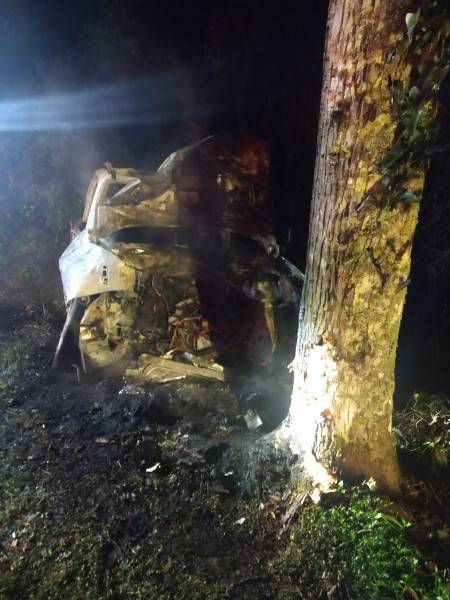 Criciúma: motorista é retirada de veículo em chamas após colidir contra árvore — foto 2