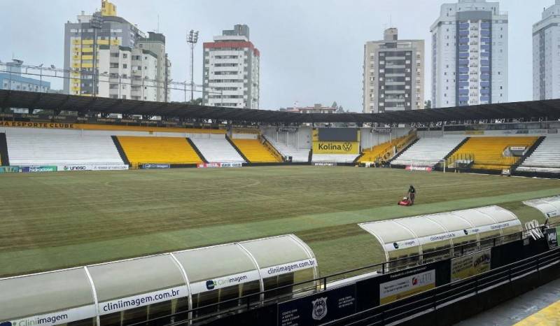 Tigre realiza melhorias em gramado e espaço de aquecimento no Majestoso — foto 2