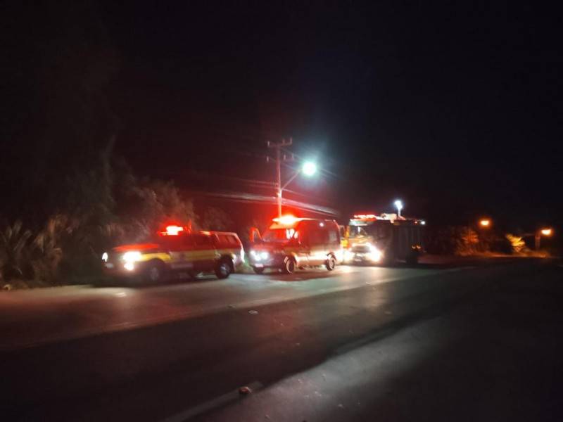 Nova Veneza: motorista cai em barranco e colide contra arbusto — foto 1