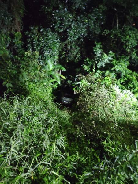 Nova Veneza: motorista cai em barranco e colide contra arbusto — foto 2