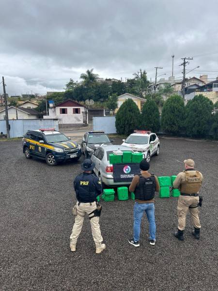 Operação conjunta apreende mais de 200 quilos de maconha em Braço do Norte — foto 1