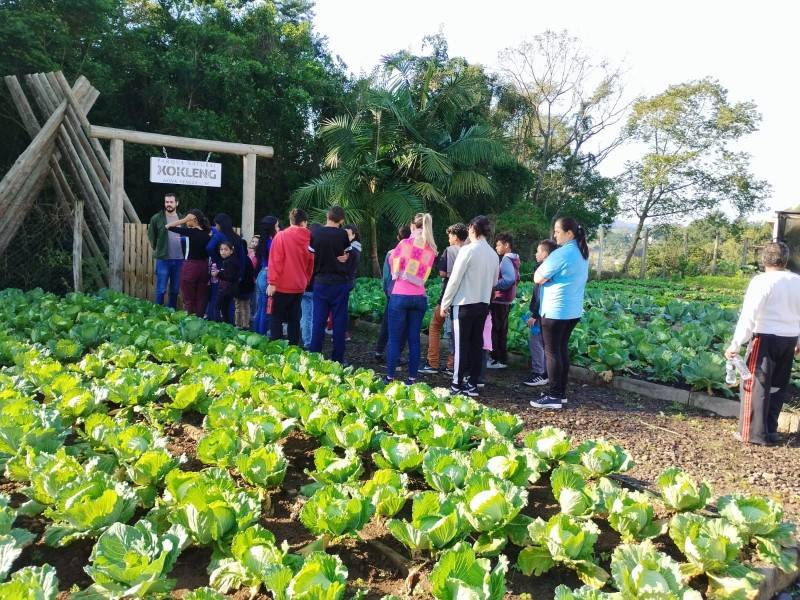 Trilha educativa em meio a área de preservação marca atividade em Nova Veneza — foto 1