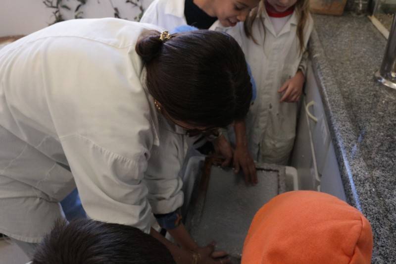 Técnico em Química do Colégio Satc realiza projeto sustentável com escola municipal de Criciúma — foto 5