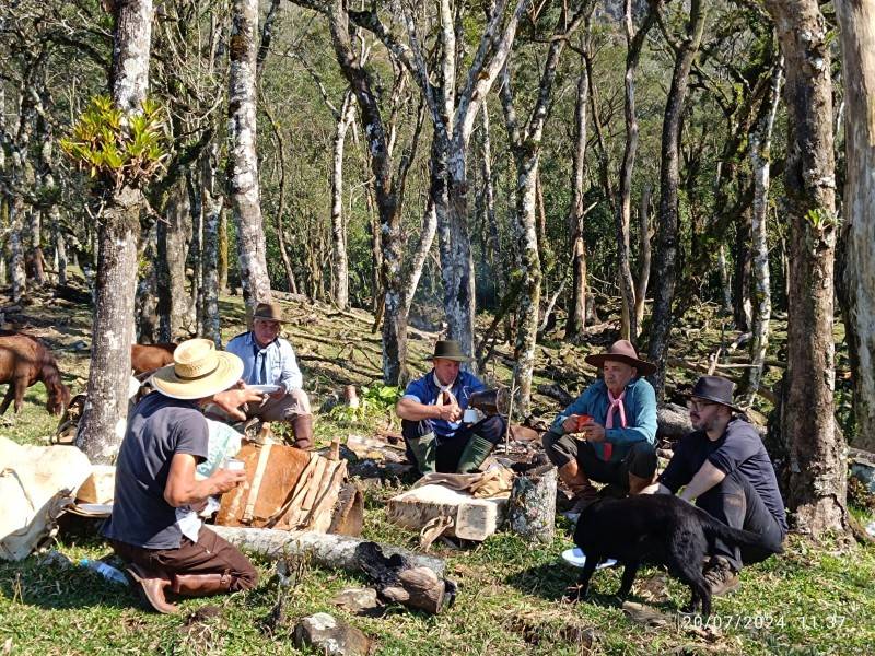 DNIT marca presença na VI Festa dos Bois Carreiros e dos Tropeiros — foto 1