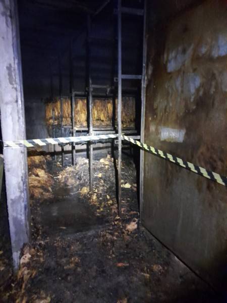 Estufa de fumo pega fogo em Turvo — foto 1