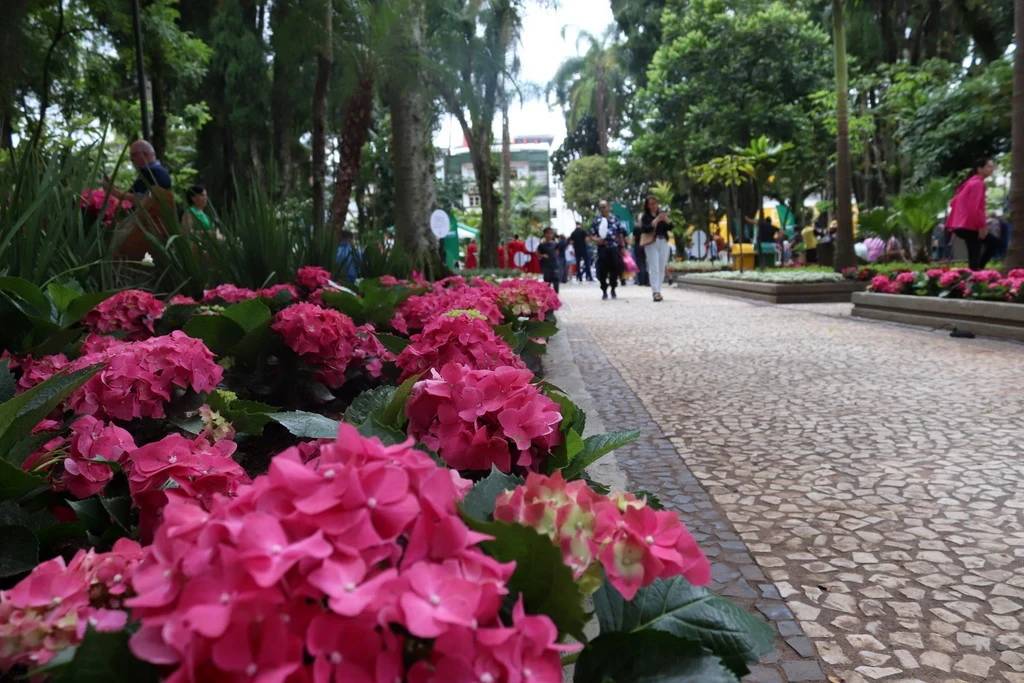 Unesc dá nova cara para a Praça Nereu Ramos e celebra momento com a comunidade — foto 2