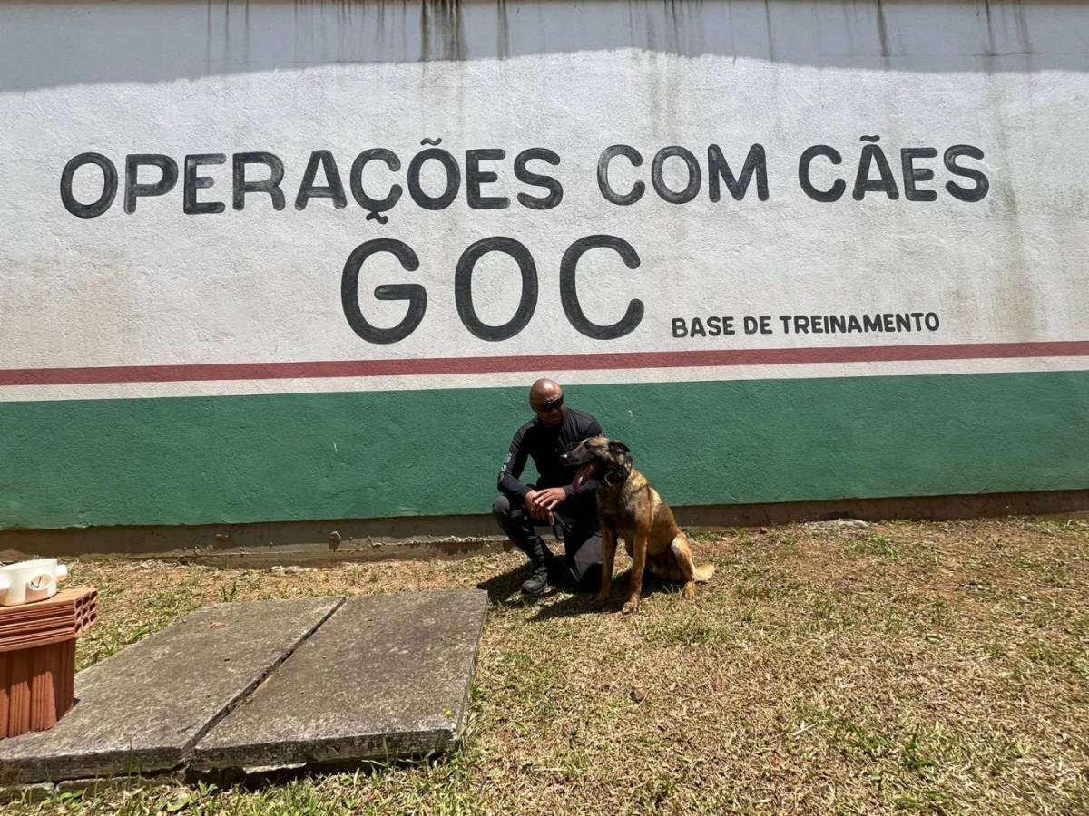 Grupo de Operações com Cães: canil se torna referência em segurança e projetos sociais — foto 2