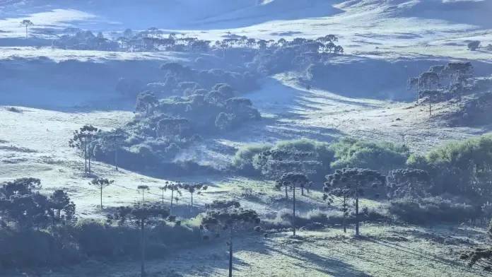 Serra catarinense amanhece coberta de geada nesta quarta-feira — foto 1