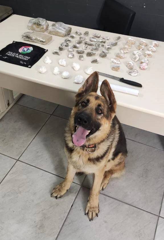 Polícia Militar apreende mais de 2,5 kg de drogas em Criciúma — foto 1