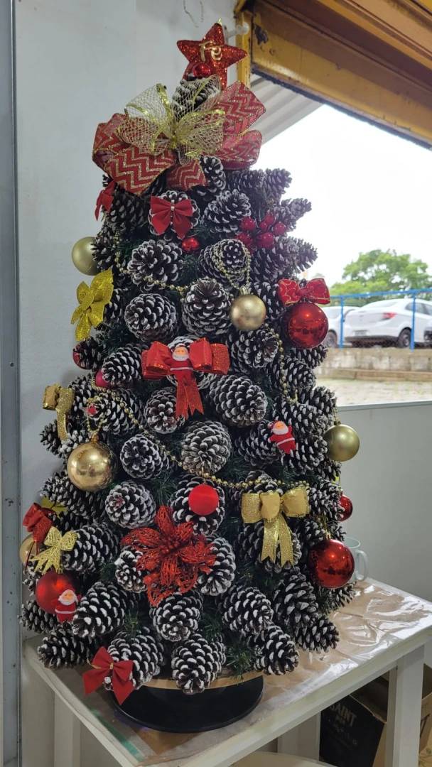 APAE de Cocal do Sul transforma Natal com produtos artesanais feitos por alunos — foto 1