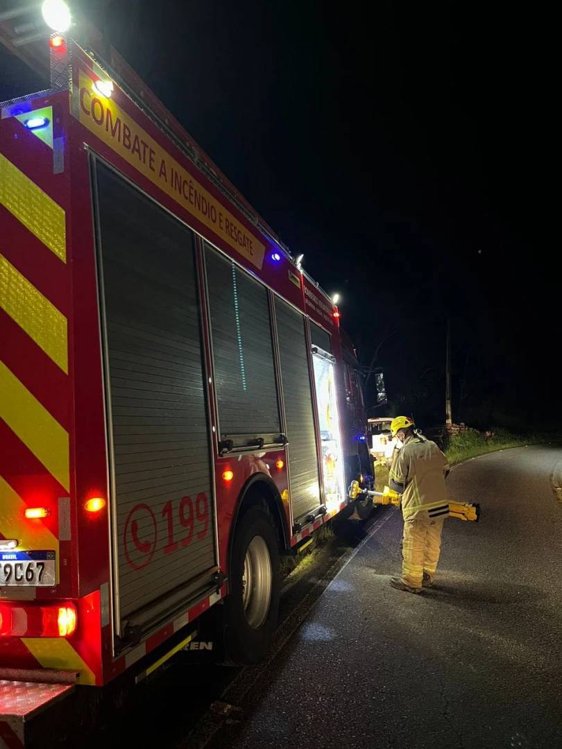 Idoso morre após árvore cair sobre ele em Treze de Maio — foto 1