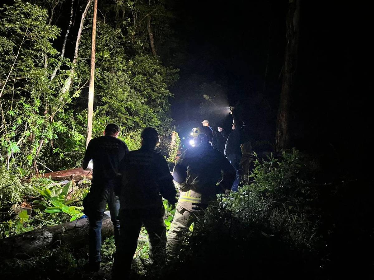 Idoso morre após árvore cair sobre ele em Treze de Maio — foto 2