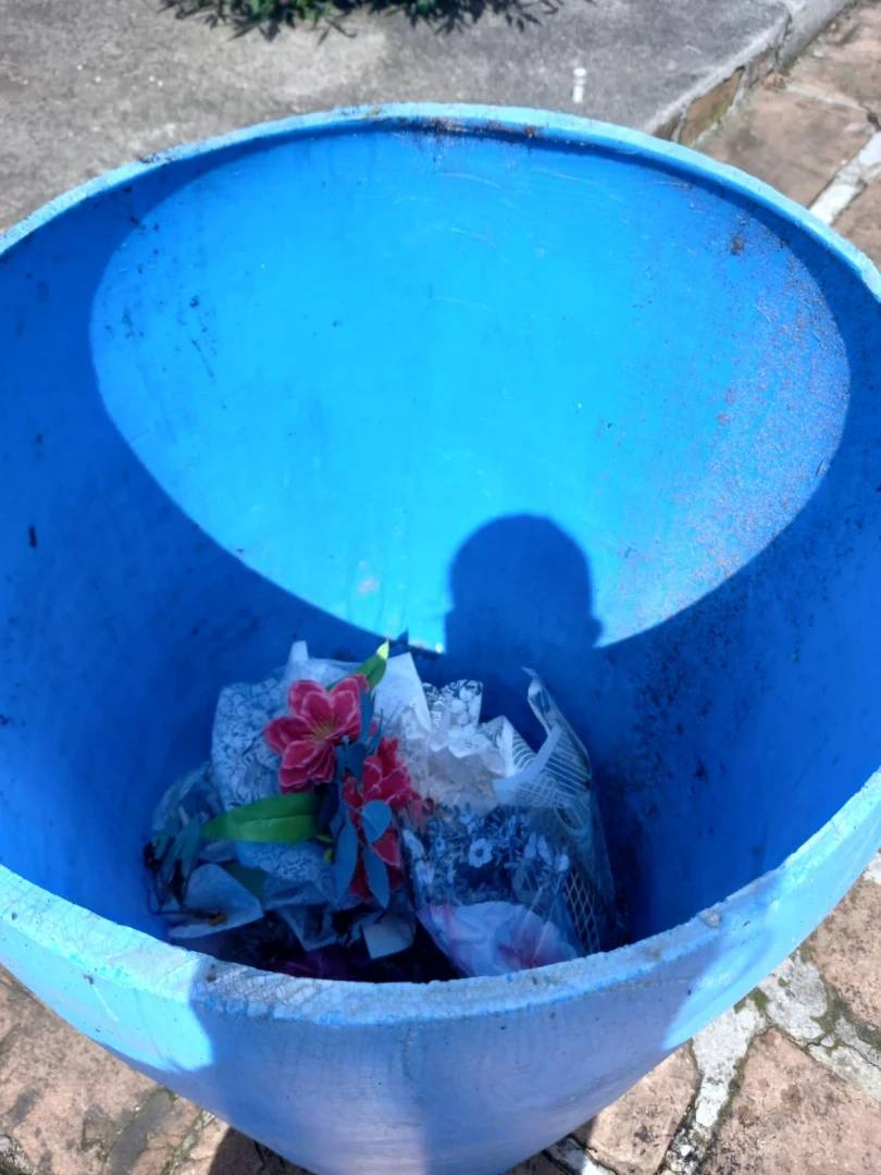 Setor de Endemias e Vigilância Sanitária realizam limpeza em cemitérios — foto 1