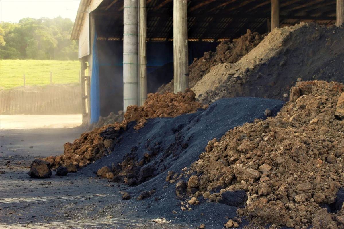 Cinzas da casca de arroz já se tornaram mais de 4 milhões de tijolos — foto 1