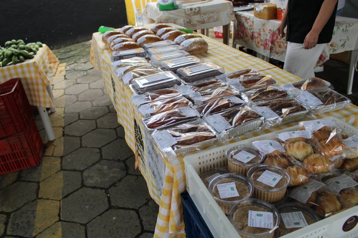Feira da Agricultura Familiar retoma atividades em Criciúma — foto 1