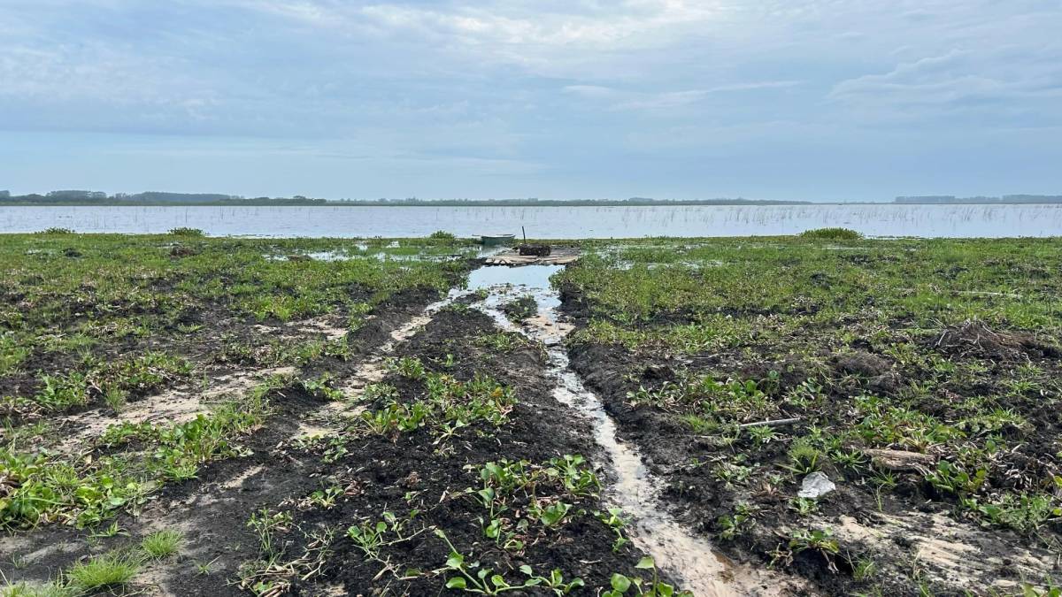 MPSC ajuíza ação civil pública para conter degradação e salvar a Lagoa do Caverá — foto 2