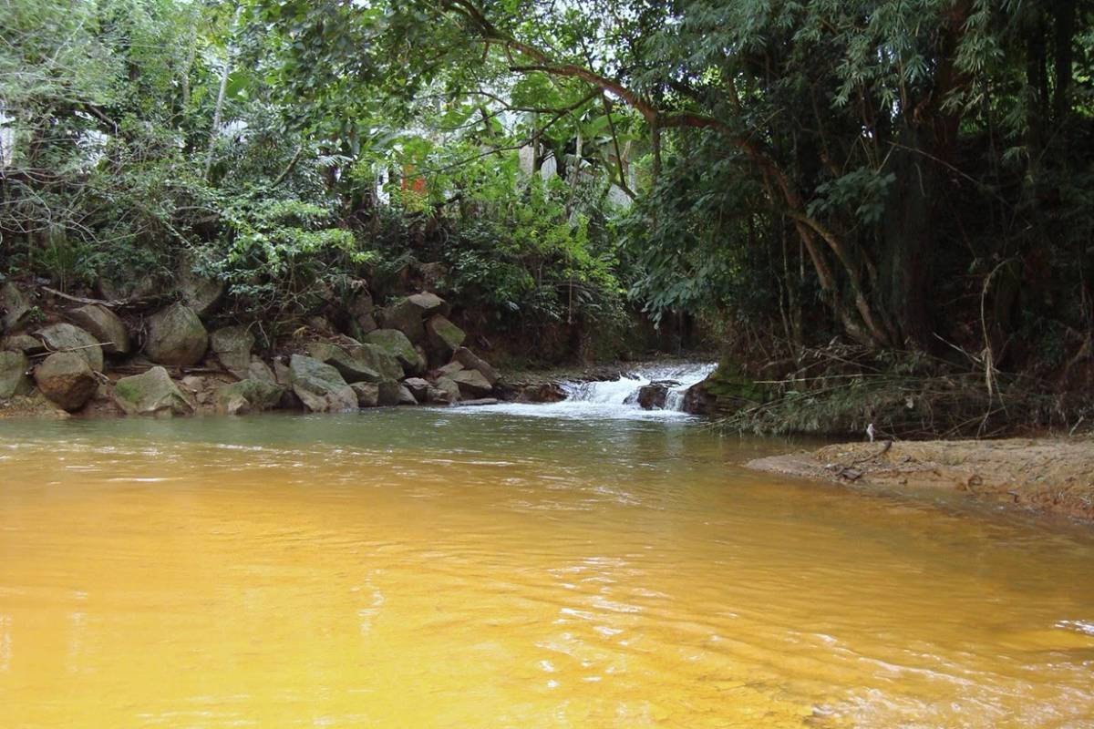 Comitês das Bacias do Sul reforçam apelo pelo uso sustentável dos recursos hídricos — foto 1