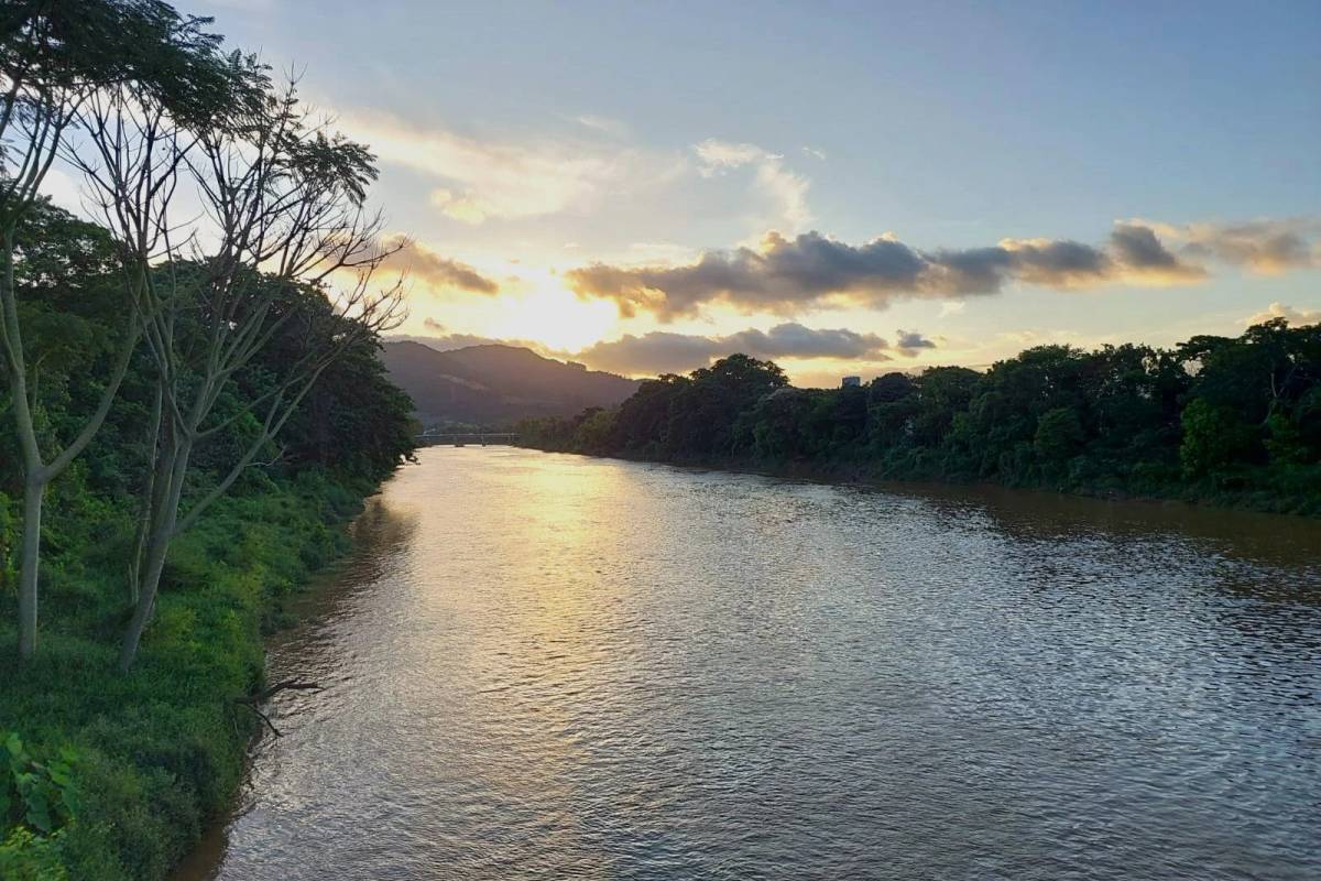Comitês das Bacias do Sul reforçam apelo pelo uso sustentável dos recursos hídricos — foto 2