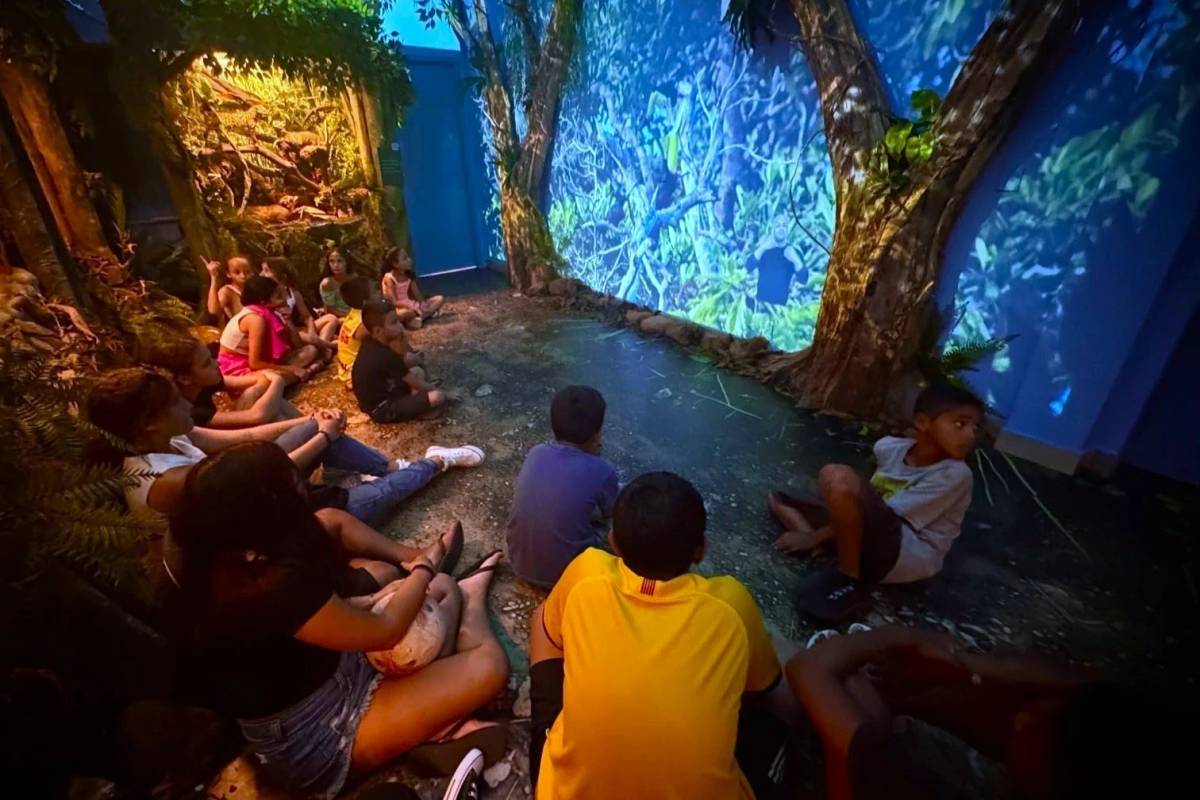 Crianças e adolescentes da Afasc exploram o Museu de Zoologia da Unesc — foto 1