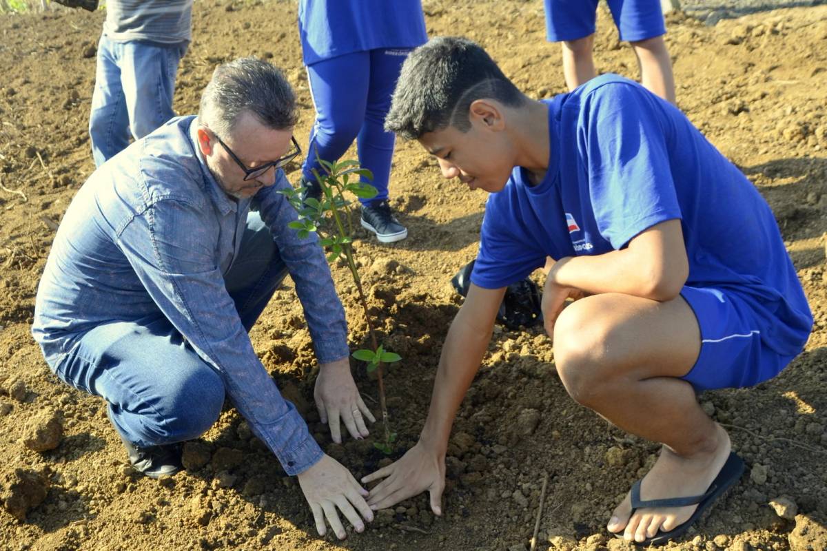 Ação conjunta busca recuperar área de preservação permanente na comunidade do Rio Jordão, em Siderópolis — foto 1