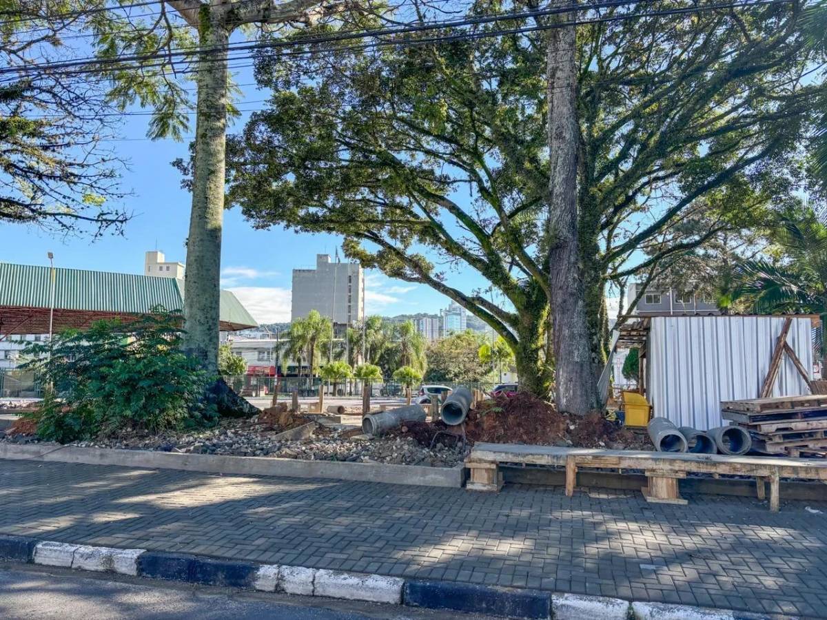 Revitalização da Praça Maria Silva Rodrigues deve ser inaugurada ainda em 2025 — foto 1